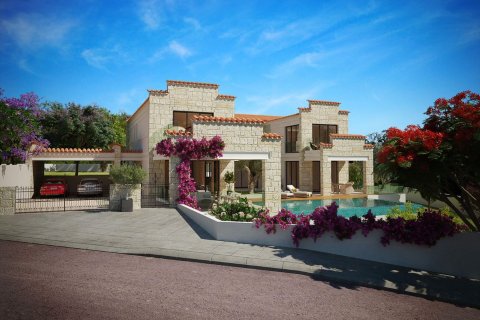 3 bedrooms Villa in Kouklia, Paphos, Cyprus No. 45258