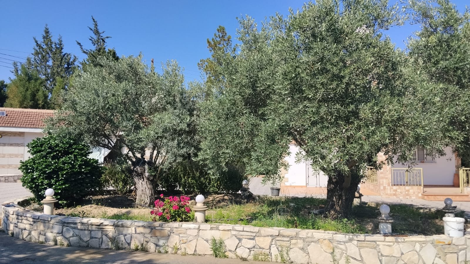 3 chambres Villa à Anglisides, Larnaka, Chypre No. 54812