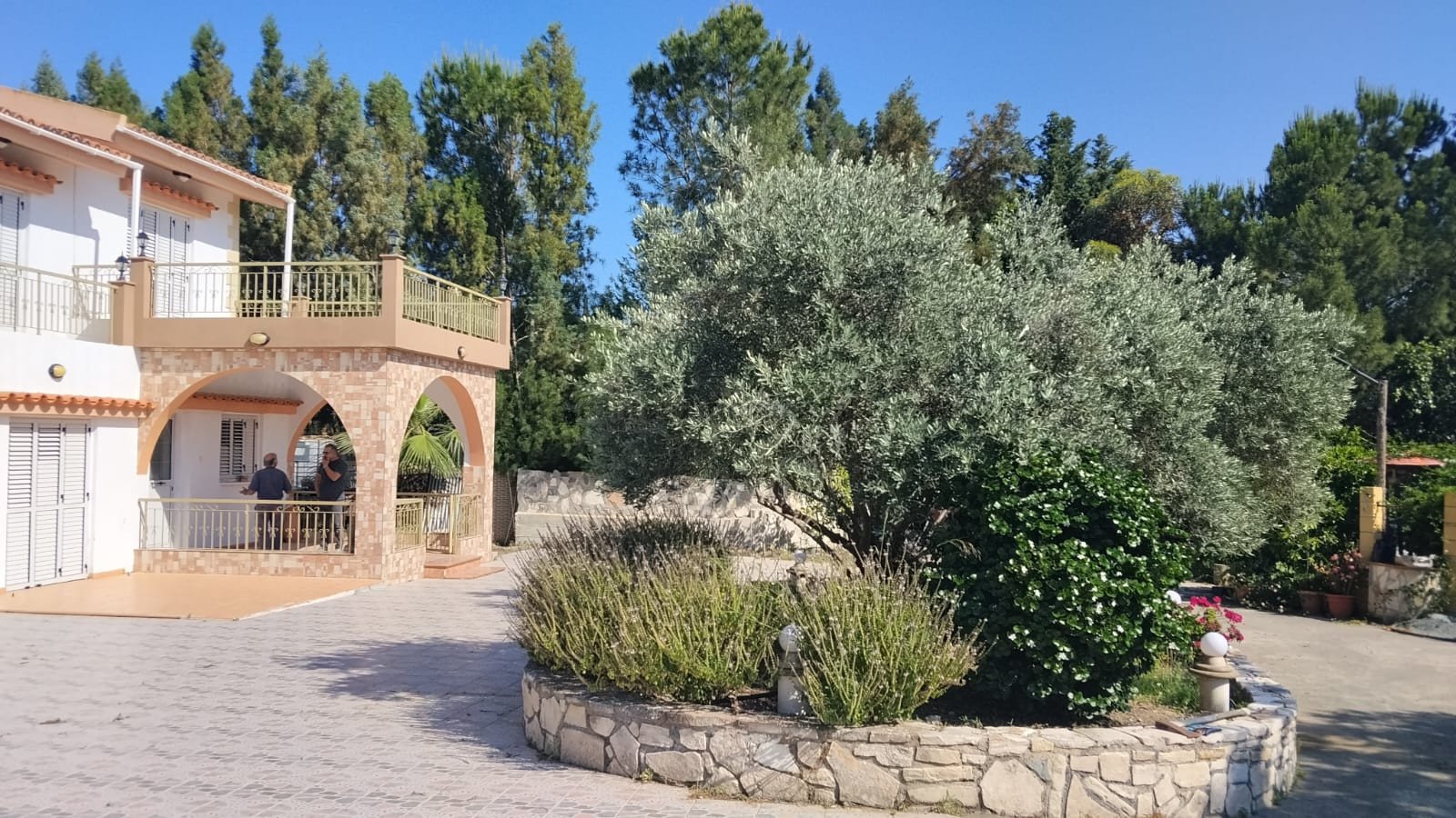 3 chambres Villa à Anglisides, Larnaka, Chypre No. 54812