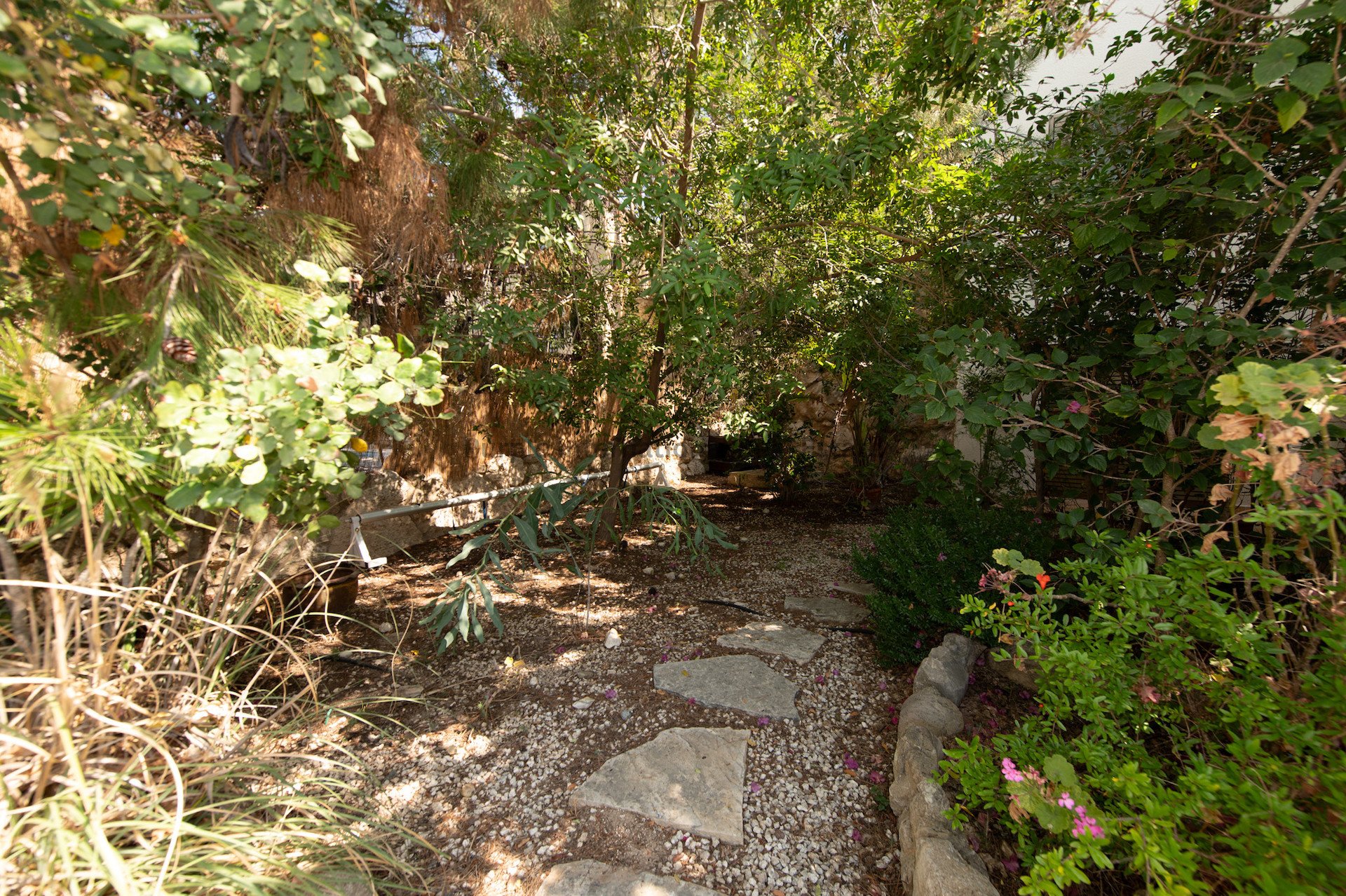 5 dormitorios Villa en Tala, Paphos, Chipre No. 56601