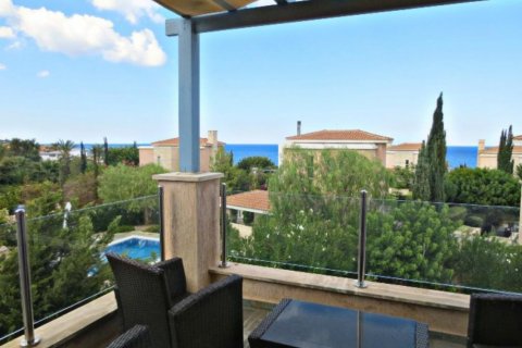Studio Villa in Paphos, Cyprus No. 37986