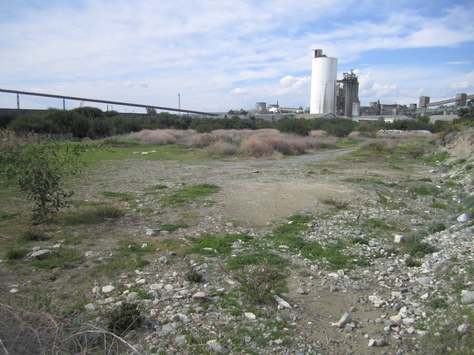 Land in Larnaca, Larnaka, Cyprus No. 46227