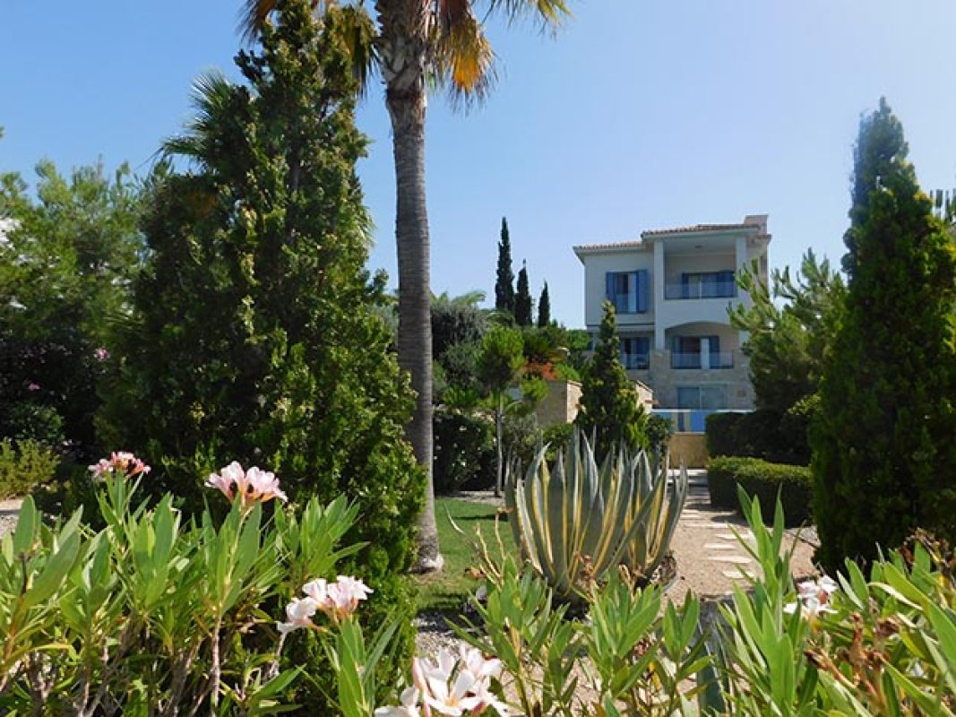 Studio Apartment in Limassol, Cyprus No. 38071