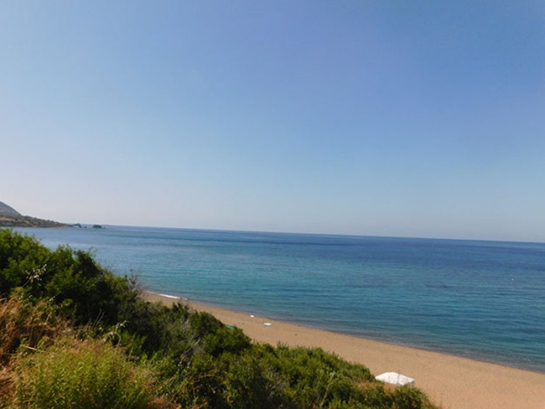 Studio Apartment in Limassol, Cyprus No. 38071