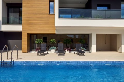 Studio Apartment in Nicosia, Cyprus No. 38072